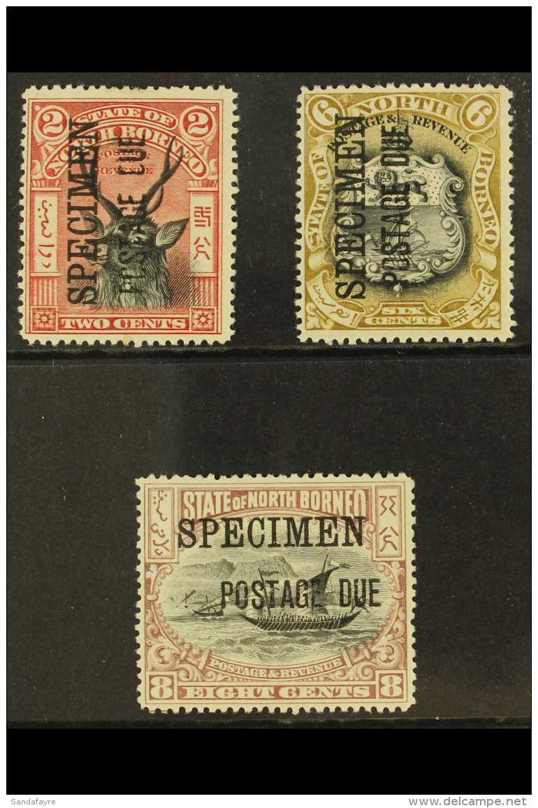 POSTAGE DUES 1897 - 99 2c, 6c And 8c Overpinted "Specimen", SG D12s, D18s, D19s, Very Fine And Fresh Mint. (3... - Bornéo Du Nord (...-1963)