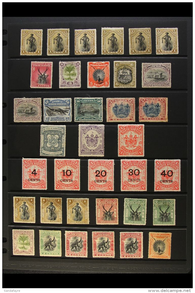 1894-1905 ALL DIFFERENT MINT COLLECTION. A Delightful Collection Of This Period With Many Perforation Variants,... - Bornéo Du Nord (...-1963)