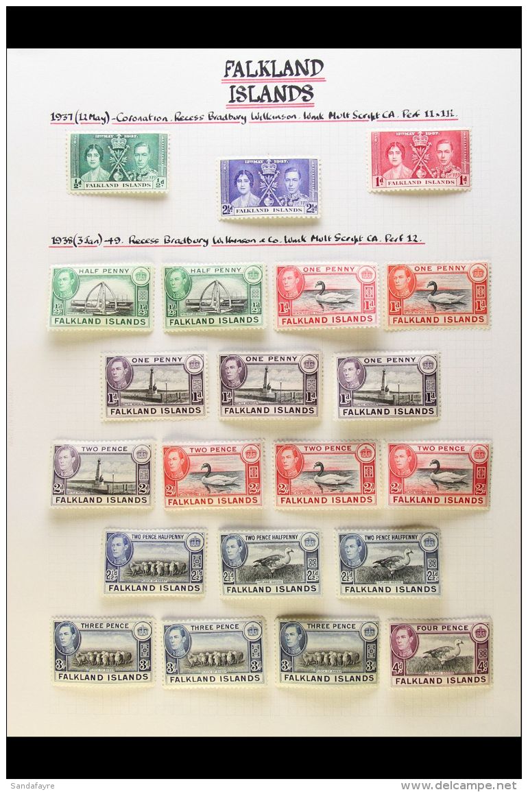 1937-1952 COMPLETE VERY FINE MINT COLLECTION On Leaves, Inc 1938-50 Set With Shades Inc 1d Black &amp; Carmine,... - Falkland Islands