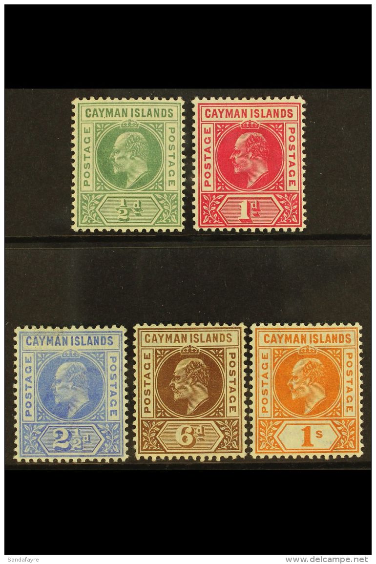 1905 Complete Set, SG 8/12, Fine Mint. (5) For More Images, Please Visit... - Iles Caïmans