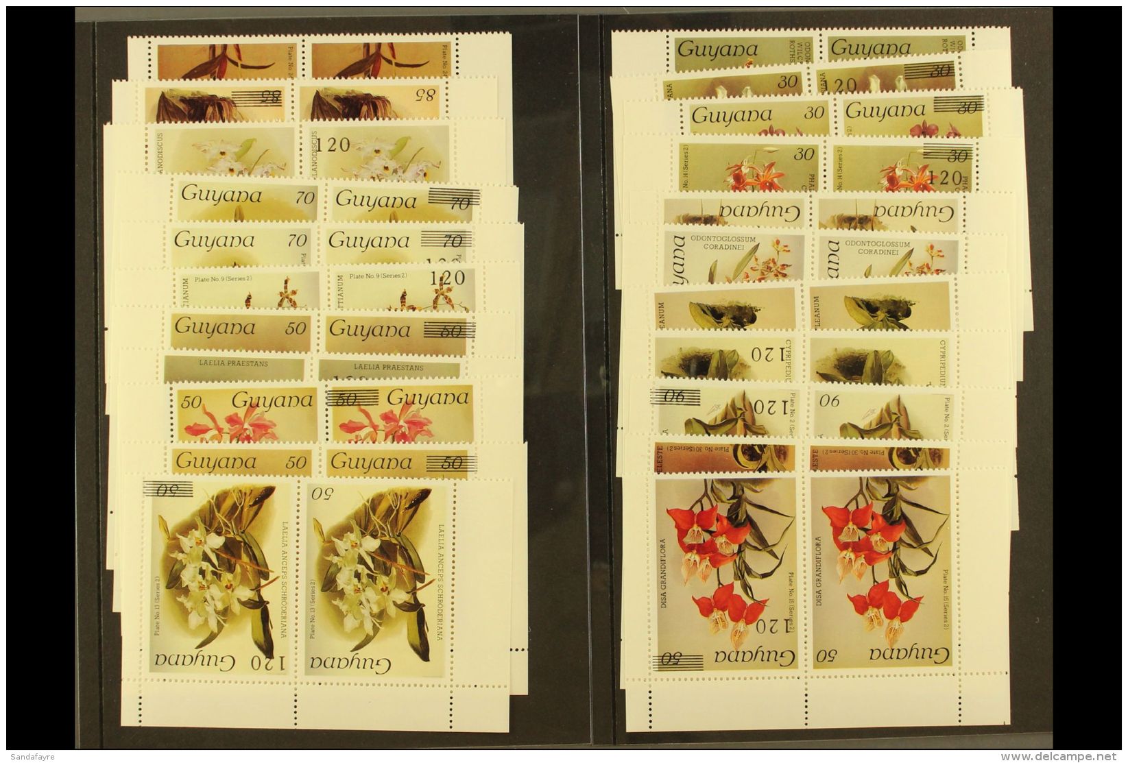 1988 (1 July) Reichenbachia Flowers Surcharges Twenty Two Different HORIZ PAIRS, ONE WITHOUT SURCHARGE Varieties... - Guyana (1966-...)