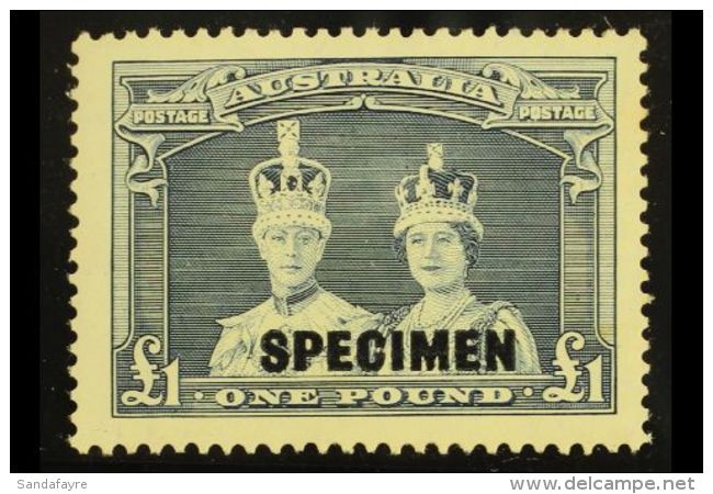 1938 &pound;1 Bluish Slate "Robes" Overprinted "SPECIMEN", SG 178s, Never Hinged Mint. Very Scarce And Desirable.... - Autres & Non Classés
