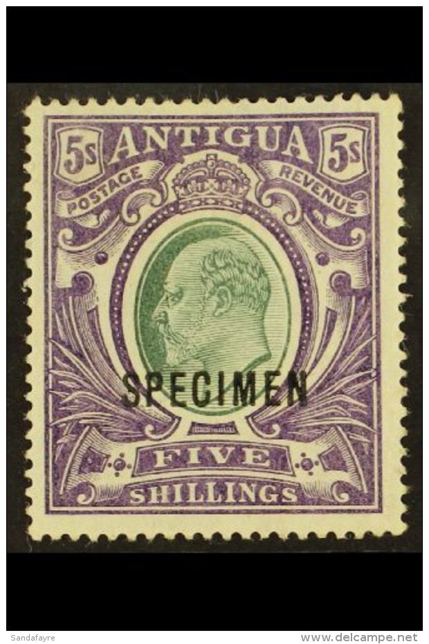 1903-07 5s Grey-green &amp; Violet With "SPECIMEN" Overprint, SG 40s, Fine Mint, Fresh. For More Images, Please... - Autres & Non Classés