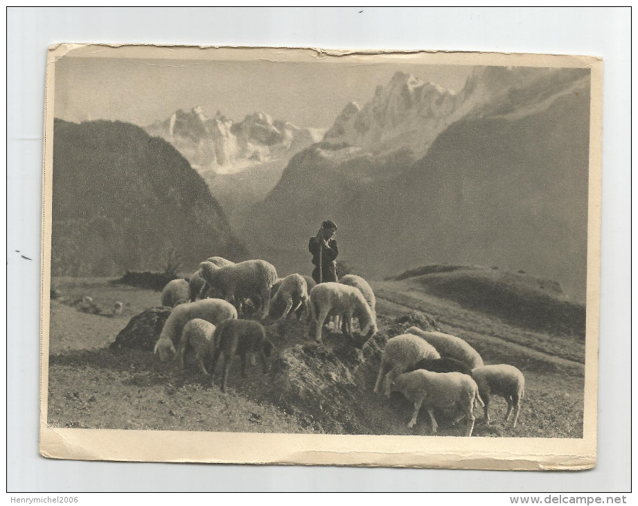 Suisse - Grisons - Petit Patre A Soglio Moutons 1935 - Soglio