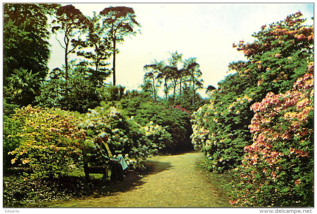 Langley Park, Langley, Co Durham, England Postcard Unposted - Other & Unclassified