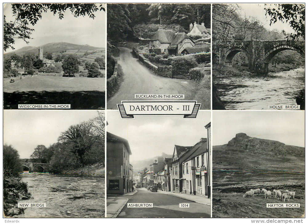 Dartmoor, Devon, England RP Postcard Unposted - Altri & Non Classificati