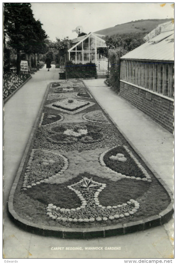 Carpet Bedding, Wannock Gardens, Sussex, England RP Postcard Unposted - Other & Unclassified