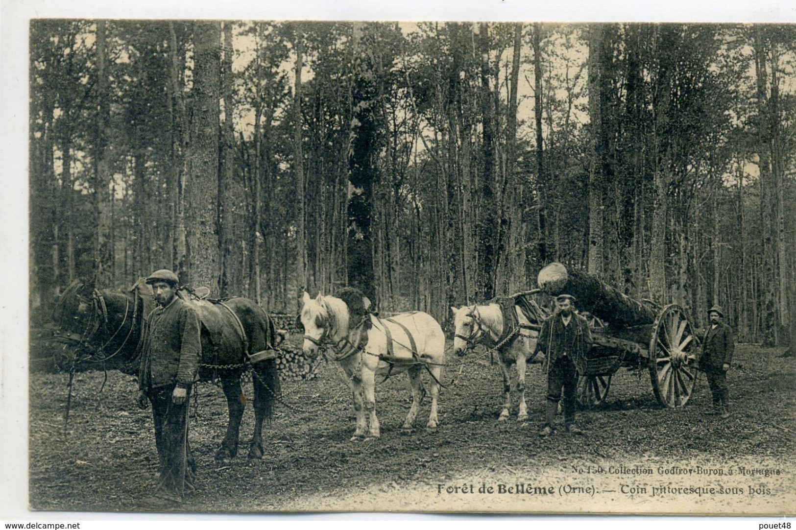 61 - BELLEME - Forêt , Coin Pittoresque Sous Bois , Attelage De Chevaux De Trait - Bucheron - Autres & Non Classés