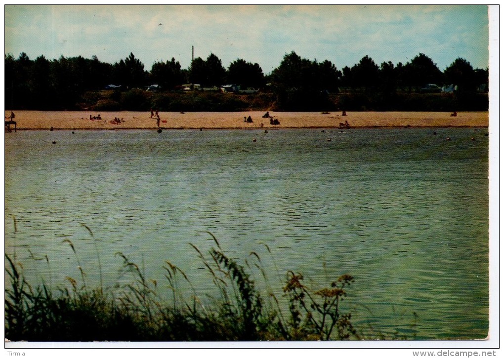 Chateauneuf-sur-Loire - La Plage Et Le Camping- Loiret - Autres & Non Classés