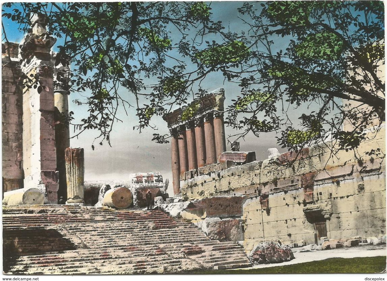 T990 Baalbek - The Steps Of Bacchus And Six Columns Of Jupiter Temple / Viaggiata 1960 - Libano