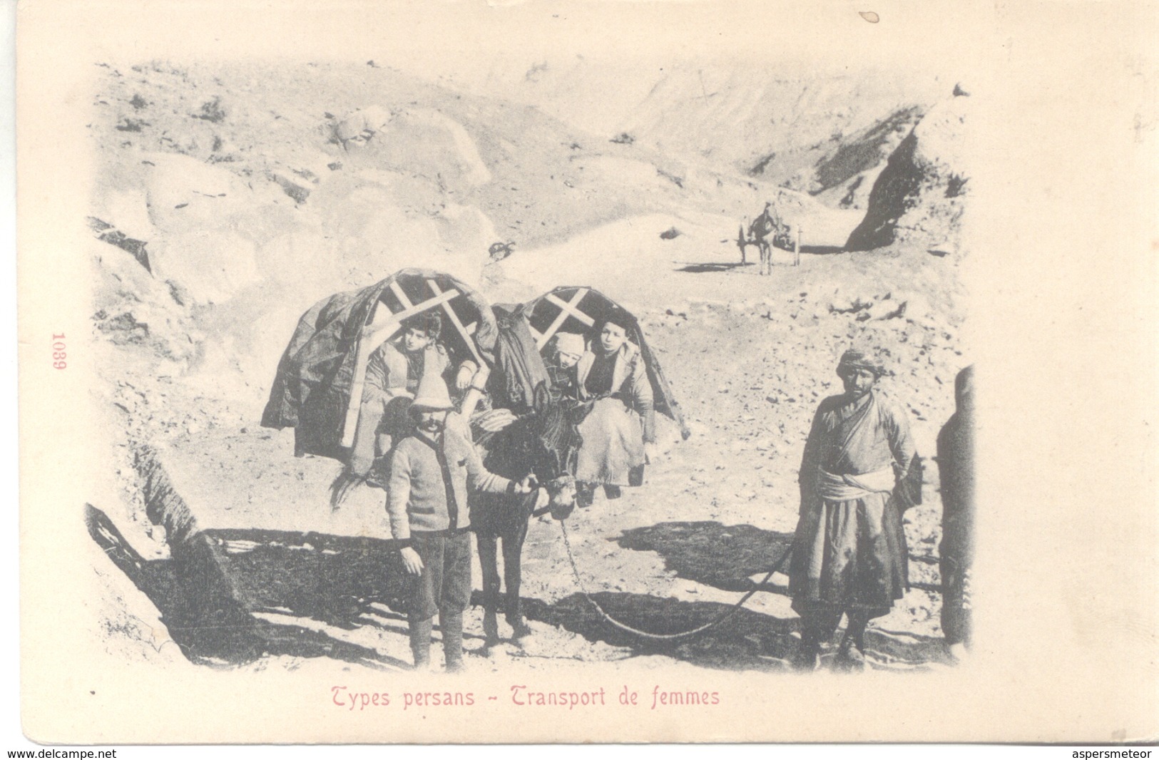 IRAN TYPES PERSANS PERSE PERSIA - CPA PRECURSEUR CIRCA 1900 TRANSPORTE DE FEMMES TRES BON ETAT TOP COLLECTION - Iran