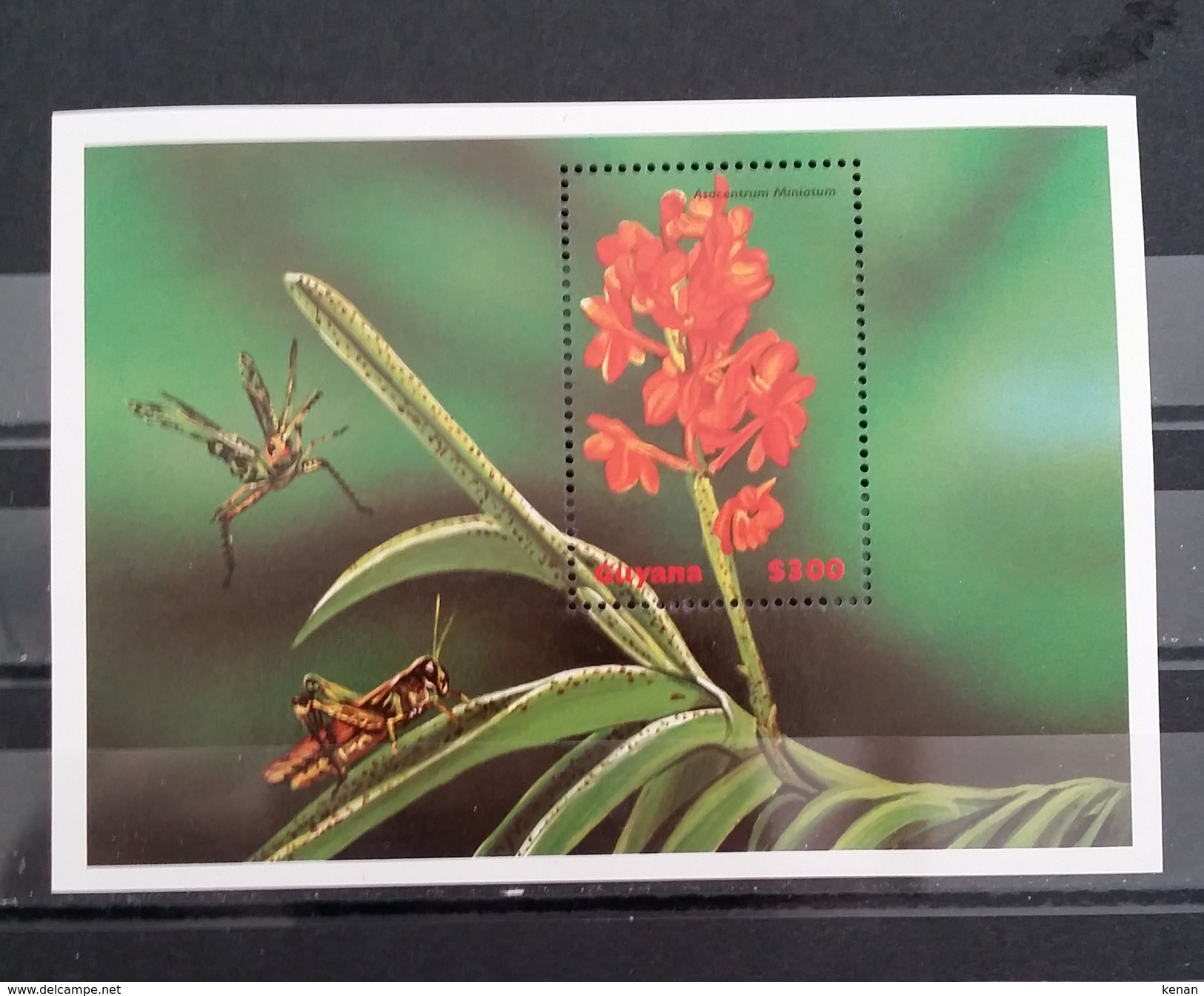 Guyana, 1999, Flowers Of The World (MNH) - Andere & Zonder Classificatie