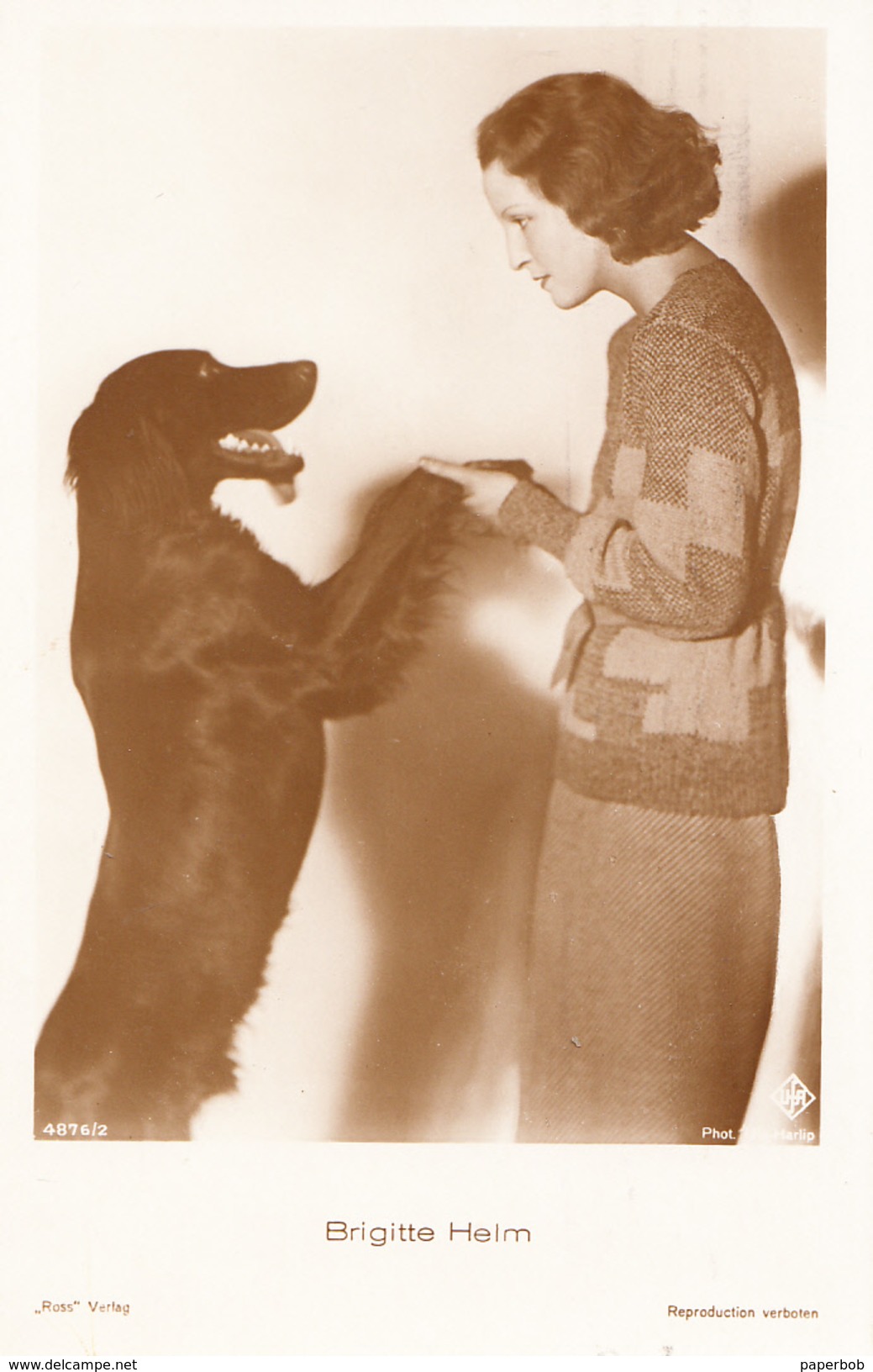 BRIGITTE HELM-IRISH SETTER 1920th - Acteurs