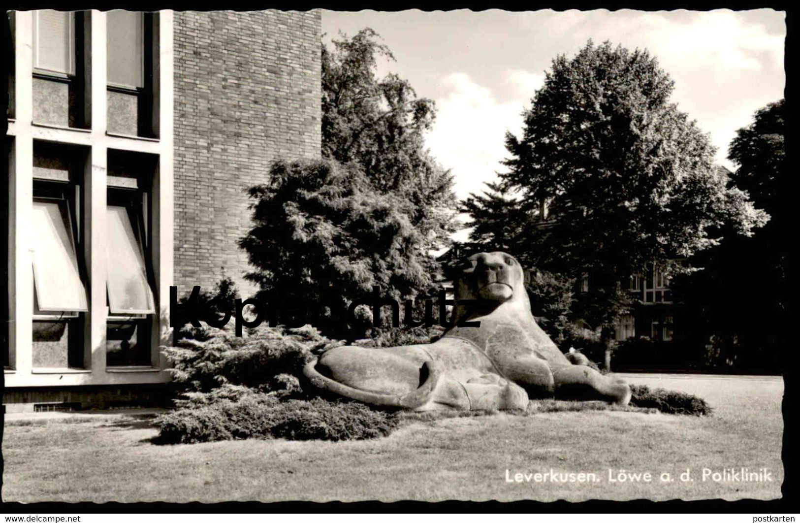 ÄLTERE POSTKARTE LEVERKUSEN BAYER-LÖWE AN DER POLIKLINIK Lion Krankenhaus Hospital Ansichtskarte AK Postcard Cpa - Leverkusen