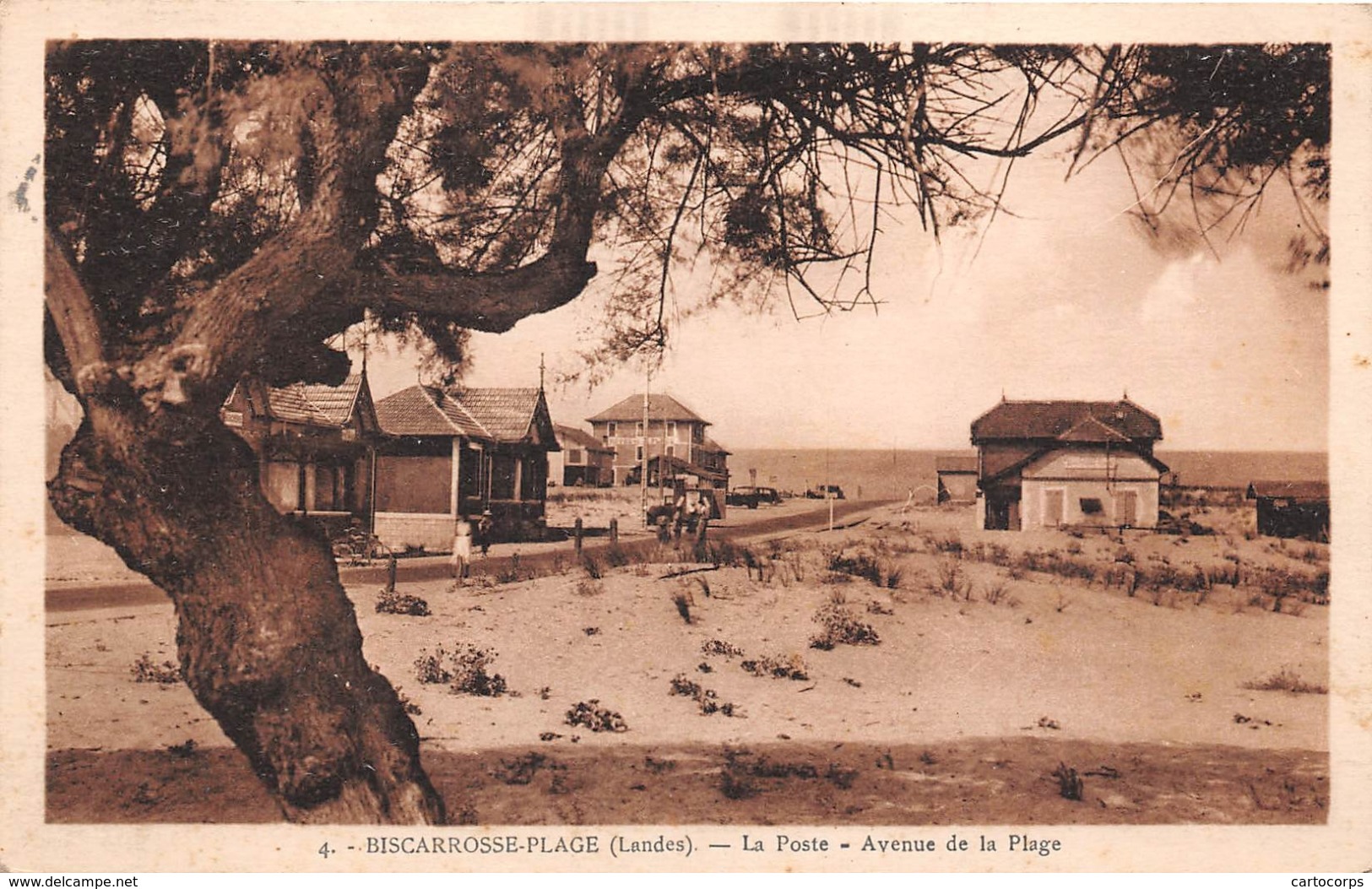 40 - Bicarrosse-Plage - La Poste - Avenue De La Plage Animée - Biscarrosse