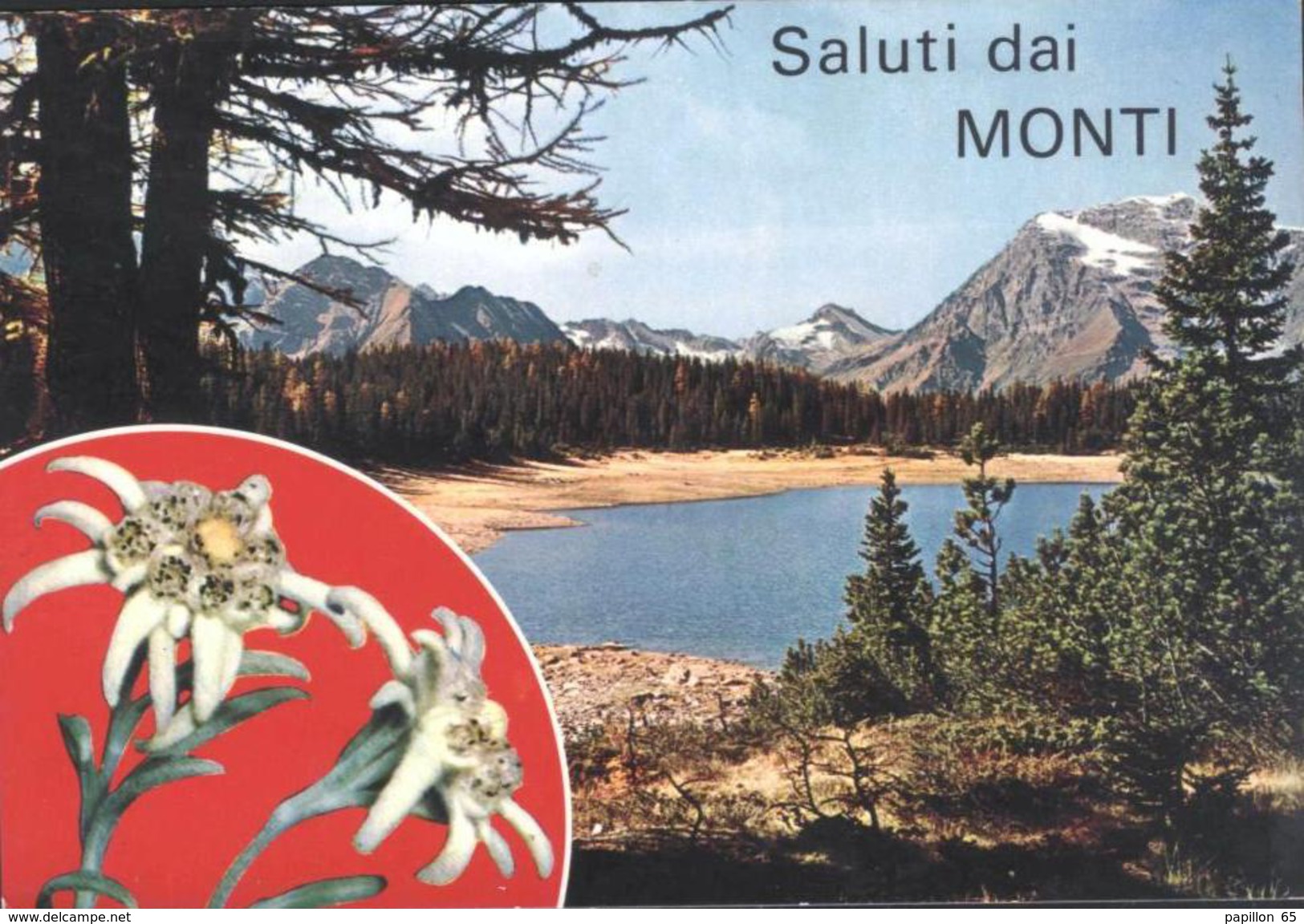 Postcard Cartolina - Saluti Dai Monti - TORINO ITALIA ITALY Circulated 1973 - Parcs & Jardins