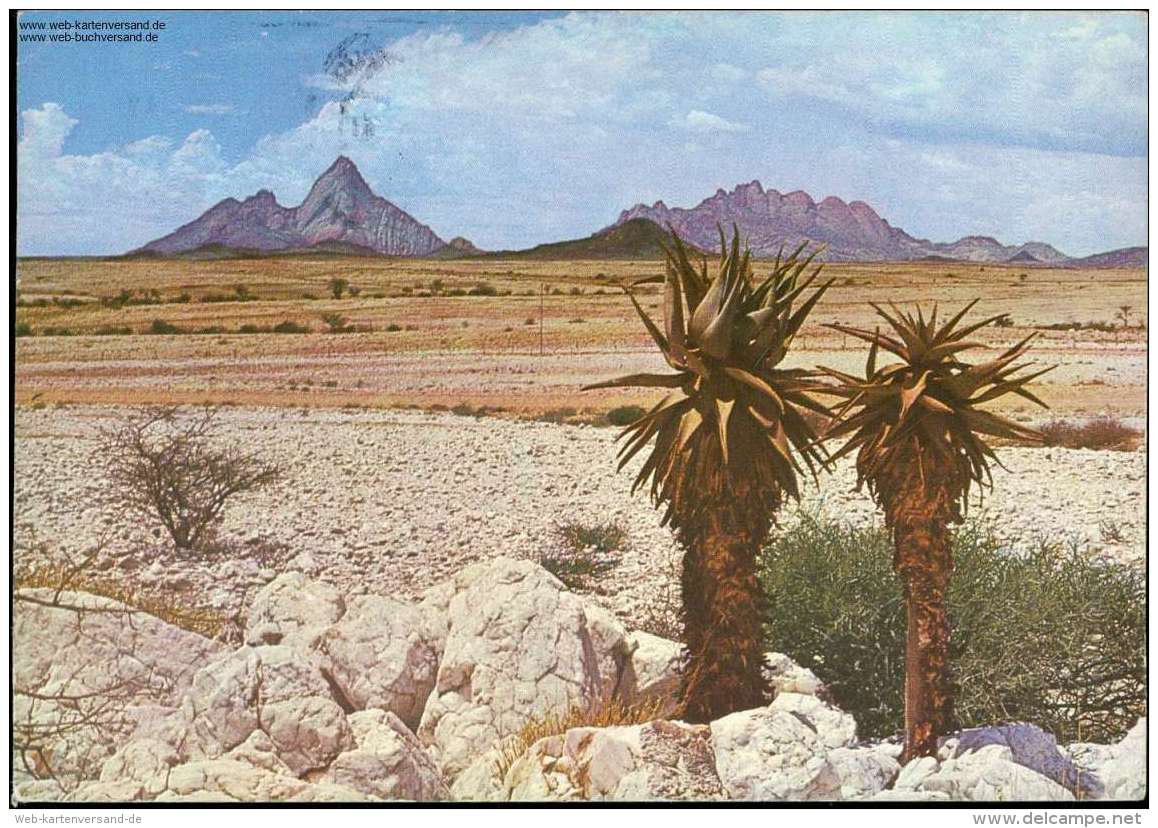 Spitzkoppe, Palme, Wüste, Namibia, Gestein, Swakopmund, 1977 - Namibie