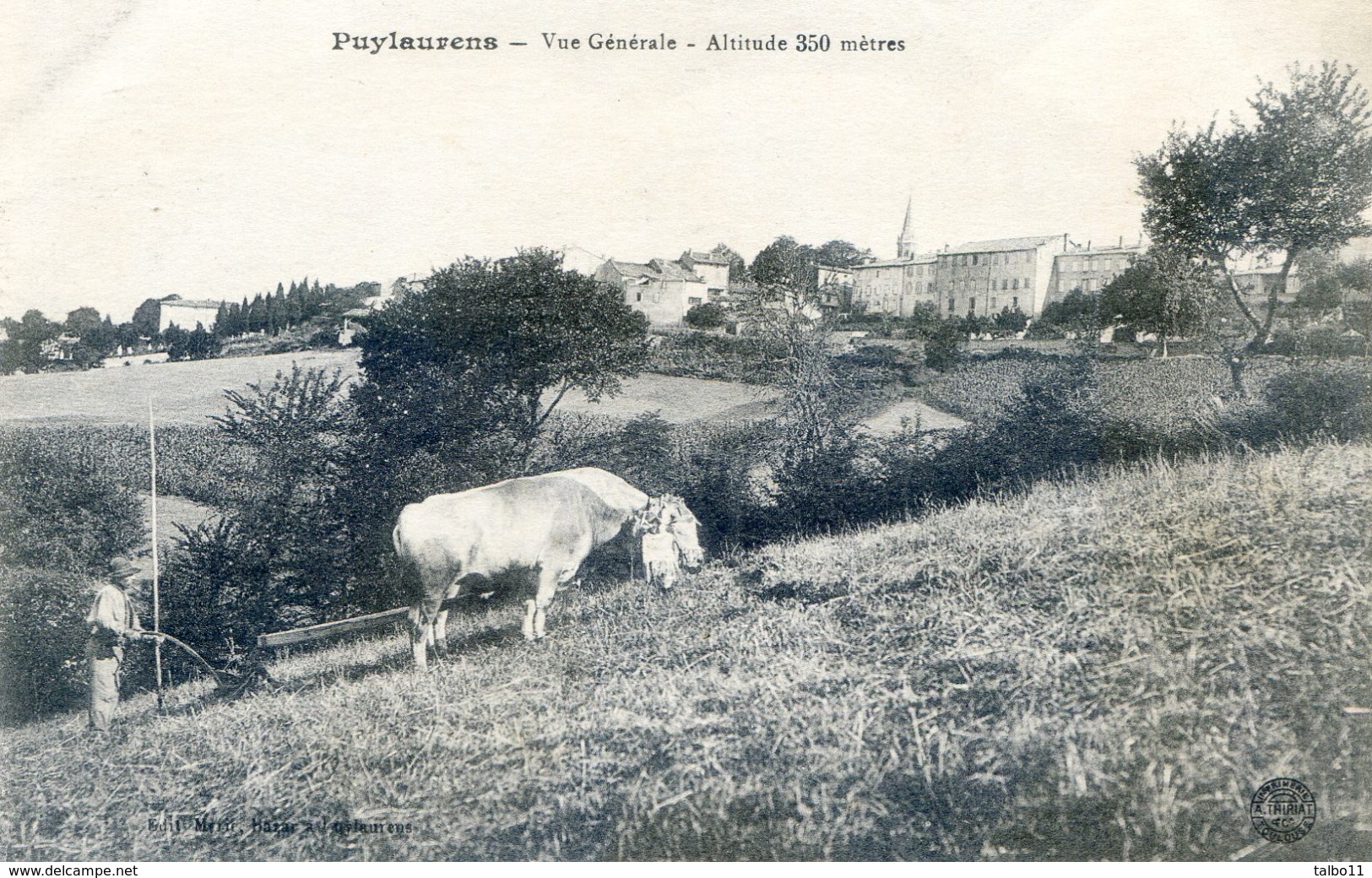 Tarn - Puylaurens - Vue Générale - Altitude 350 Mètres - Labour Avec Attelage De Vaches - Puylaurens