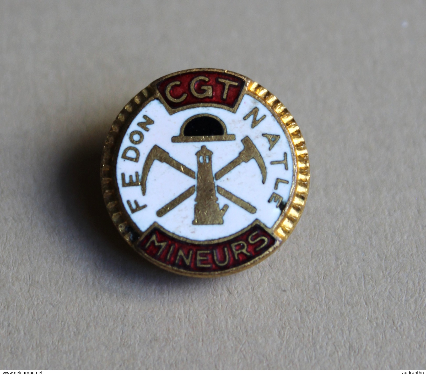 Pin's Boutonnière Rare Et Ancien Syndicat CGT MINEURS Mine Salis Josse Paris - Associations