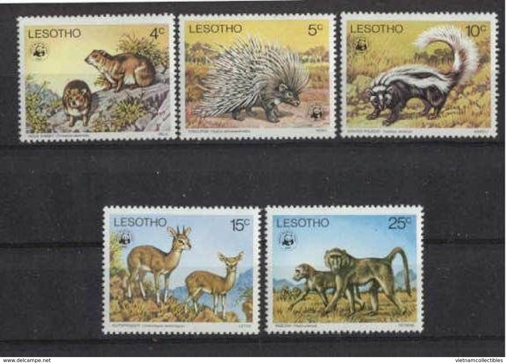 W06 WWF W.W.F. Lesotho MNH Perf Stamps 1977 : Rock Rabbits / Polecat / Endangered Species - Unused Stamps