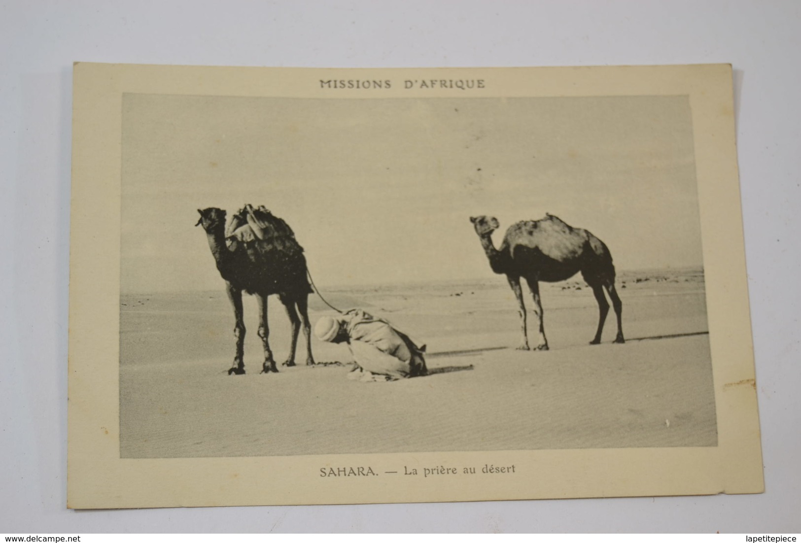 (MEL 17) CPA SAHARA - La Prière Au Désert. - Western Sahara