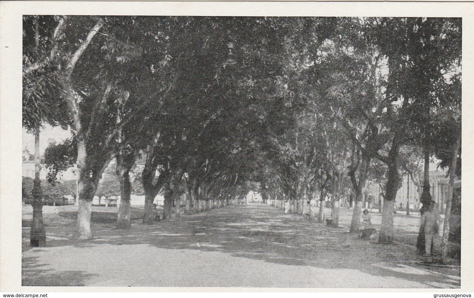 9043) BRASILE VISTAS DE BELEM PASSEIO DA PRACA DA REPUBLICA NON VIAGGIATA MA FOLDER DATATO 1945 - Belém