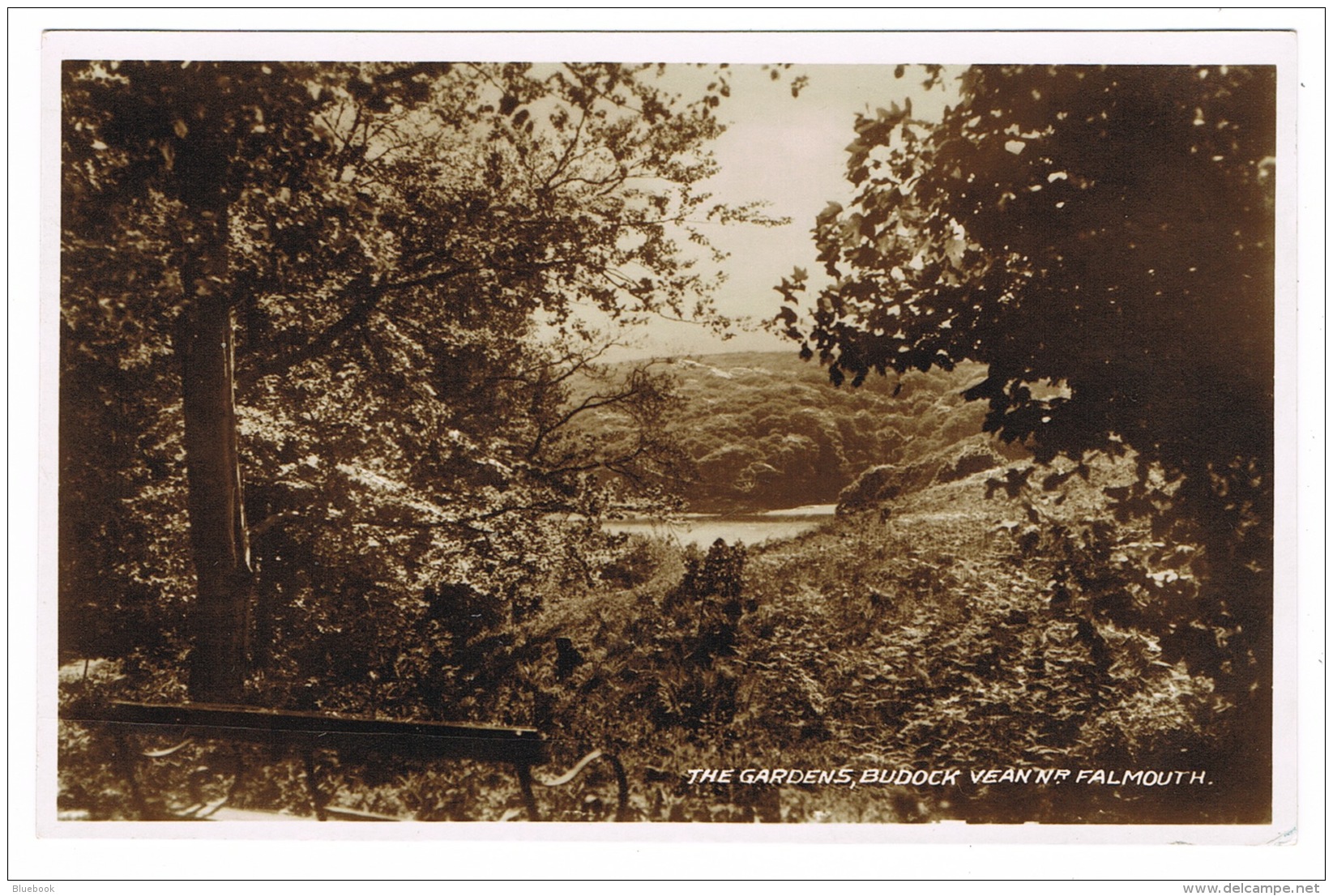 RB 1134 - Real Photo Postcard - The Gardens Budock Vean Near Falmouth - Cornwall - Falmouth