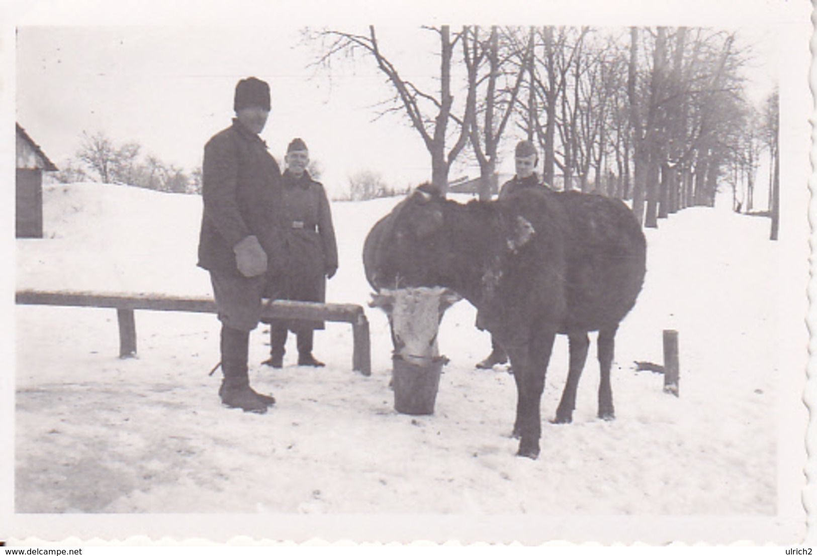 Foto Deutsche Soldaten Mit Bauer Und Kuh - Winter - 2. WK - 8*5cm (25994) - Guerre, Militaire