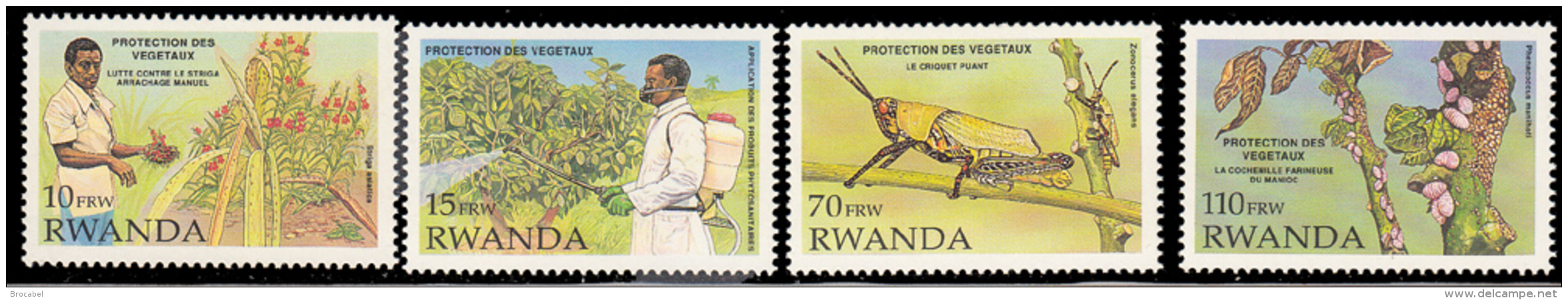 Rwanda 1399/402** Protection Des Végétaux MNH - Unused Stamps