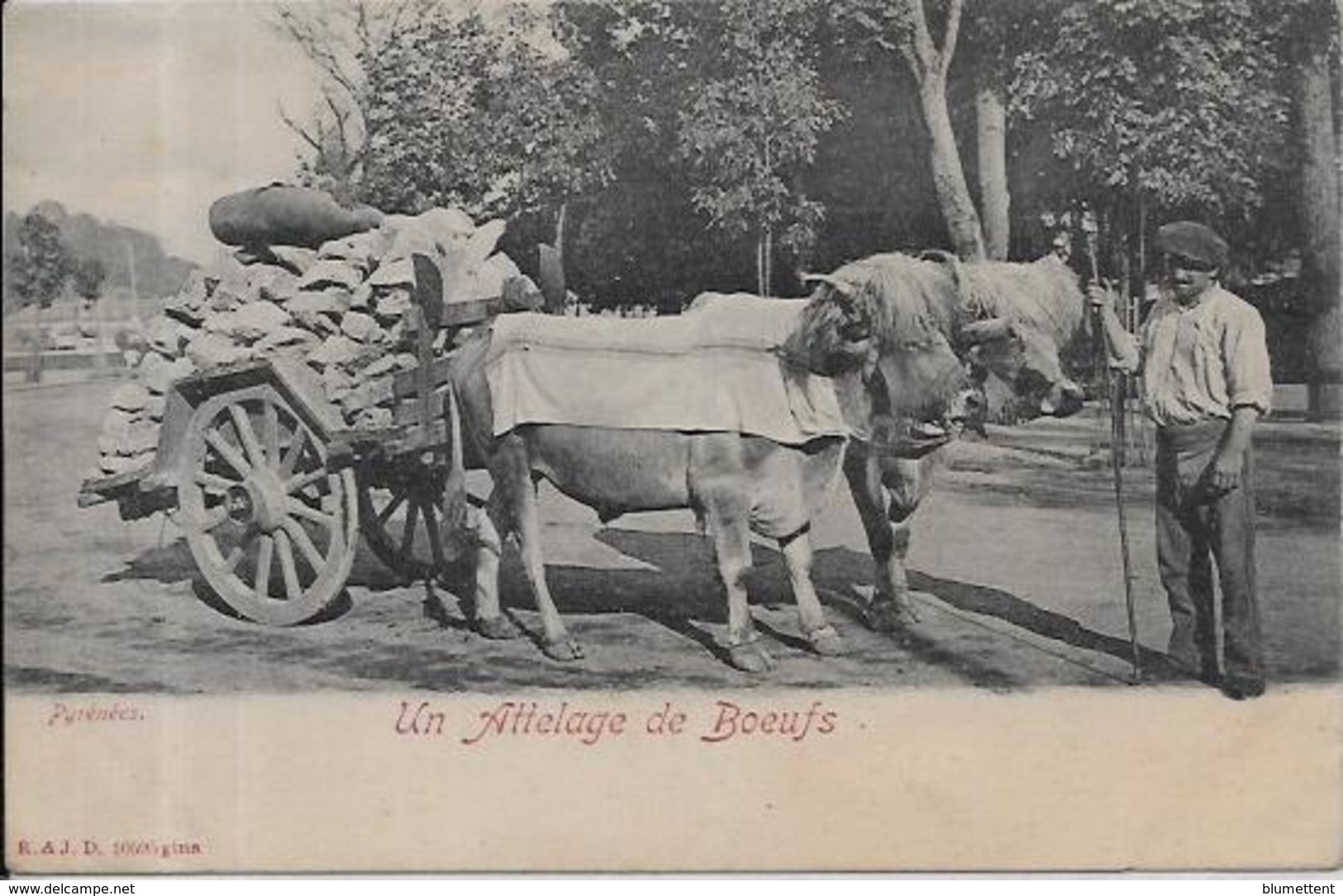 CPA Types Des Pyrénées Non Circulé Métier Attelage - Midi-Pyrénées