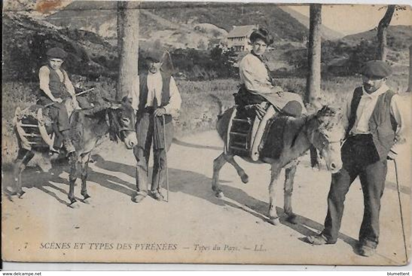 CPA Types Des Pyrénées Circulé Métier Ane Donkey - Midi-Pyrénées