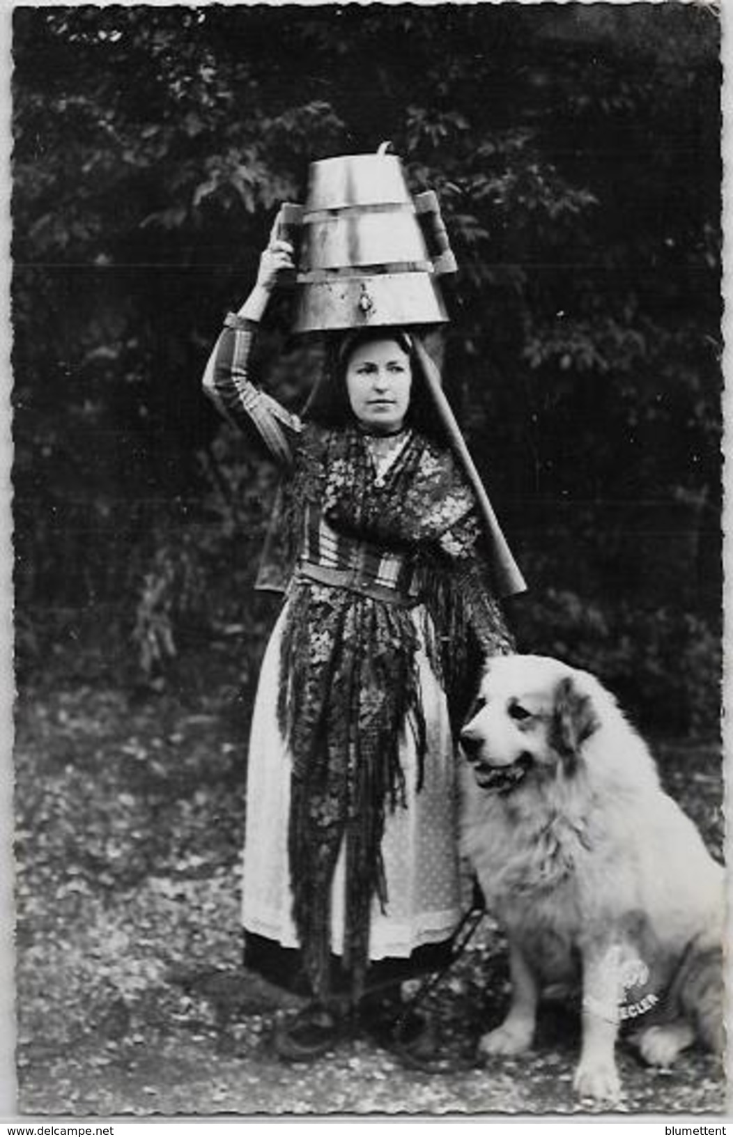 CPSM Types Des Pyrénées Circulé Métier Chantecler 79 Chien Berger Des Pyrénées - Midi-Pyrénées