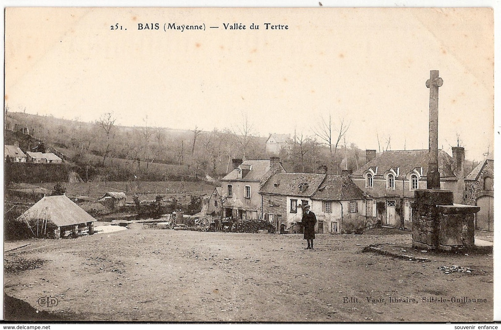 CPA Bais Vallée Du Tertre 53 Mayenne - Bais