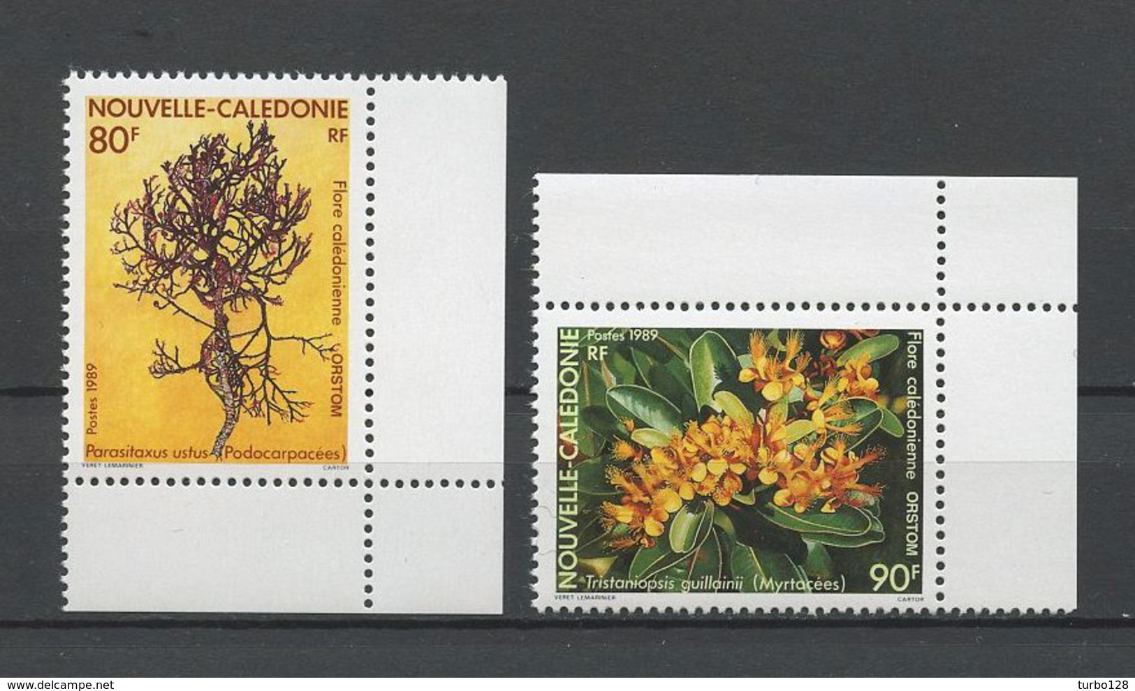 Nlle Calédonie 1989 N° 574/575 **  Neufs = MNH Superbes Cote 5.30 &euro; Flore Fleurs Flora Flowers Nature - Ongebruikt