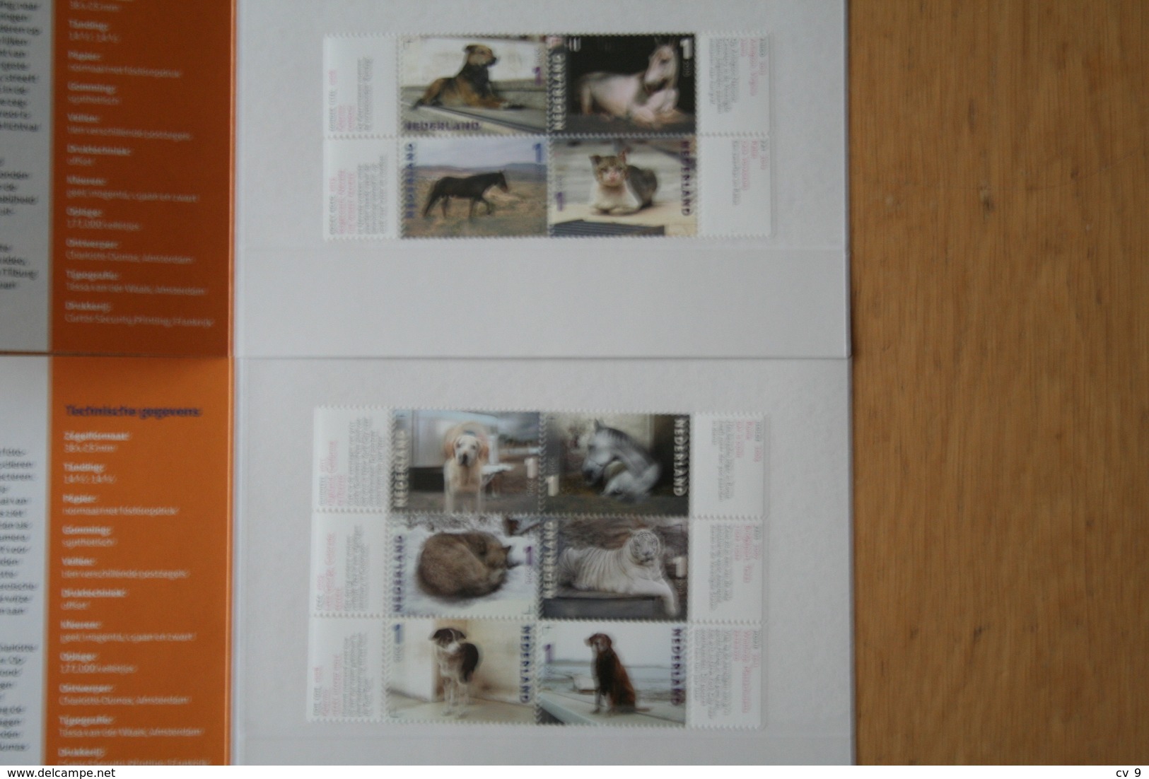 Charlotte Dumas Dog Cat Animal PZM 527 A+b Presentation Pack 2015 POSTFRIS MNH ** NEDERLAND NIEDERLANDE NETHERLANDS - Ongebruikt