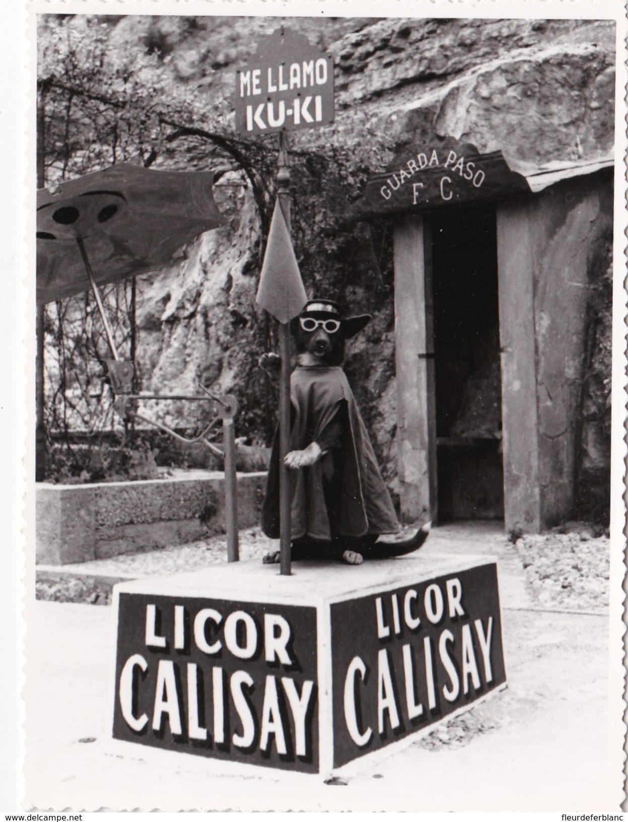 Photo Originale D'un Chien Humanisé KU-KI Devant Une Grotte à MALLORCA Publicité Licor Calisay - Espagne - Other & Unclassified