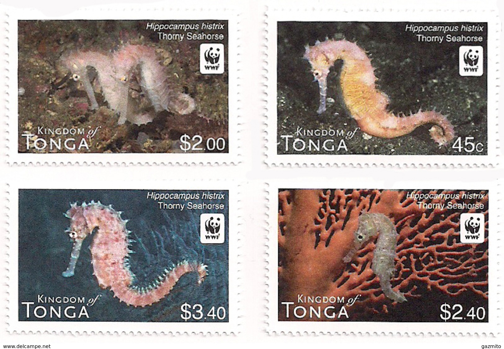 Tonga 2012, WWF Seahorse, 4val - Unused Stamps