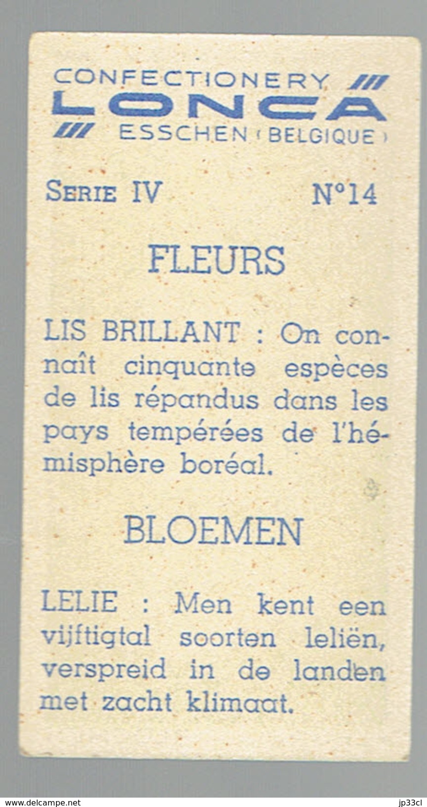 Ancien Chromo Confectionery Lonca Esschen N° 14 Lis Brillant Lelie - Altri & Non Classificati