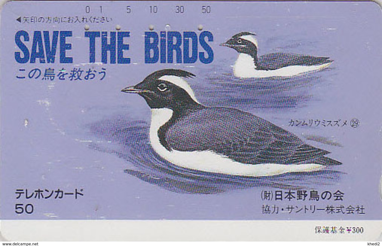 RARE TC JAPON / 110-35659 - SERIE1 SAVE THE BIRDS 29/60 - OISEAU - Canard HARLE PIETTE  - DUCK BIRD JAPAN Phonecard - Owls