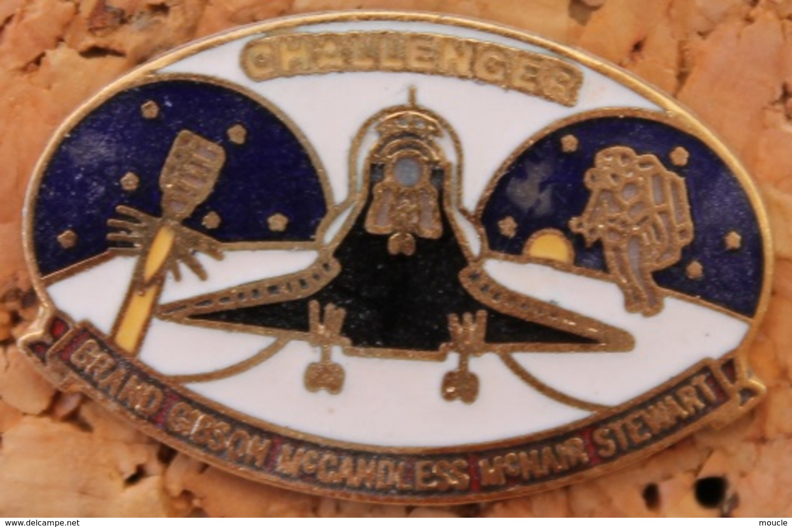 ASTRONAUTES - NAVETTE CHALLENGER  - USA - NASA -       (13) - Personajes Célebres