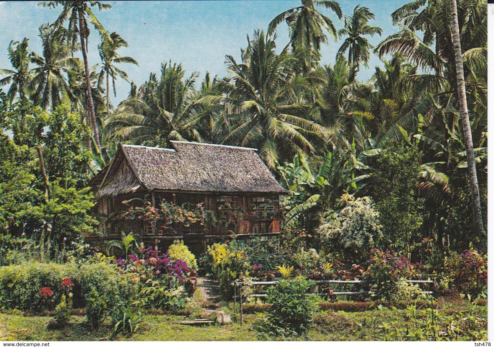 PHILIPPINES--a Typical Philippine Nipa Hut ....---voir 2 Scans - Philippines