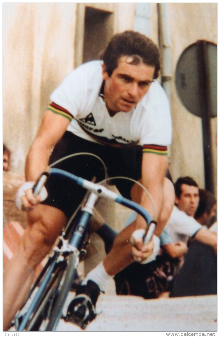 5094 Photo Cyclisme  Bernard Hinault - Cyclisme