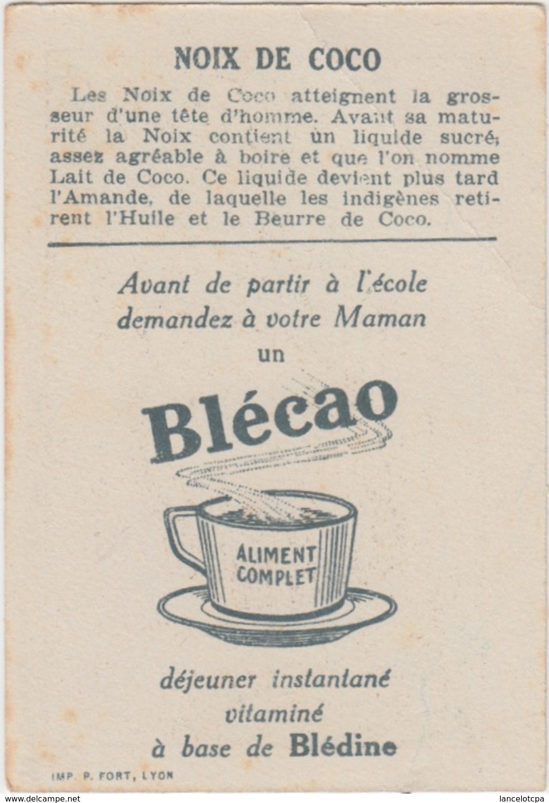 FICHE ILLUSTREE BLECAO / NOIX DE COCO - Autres & Non Classés