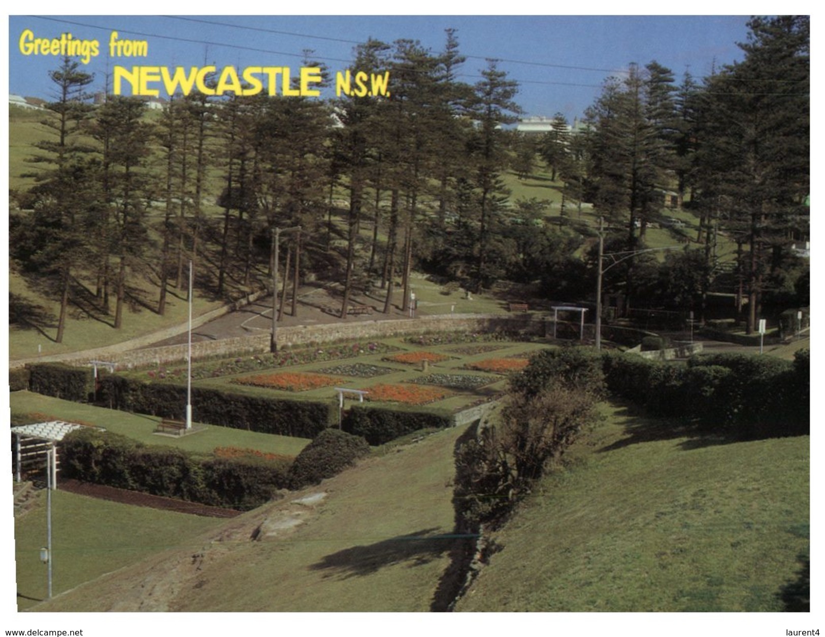 (PF 406) Australia - Older Postcard - NSW - Newcastle Grdens - Newcastle