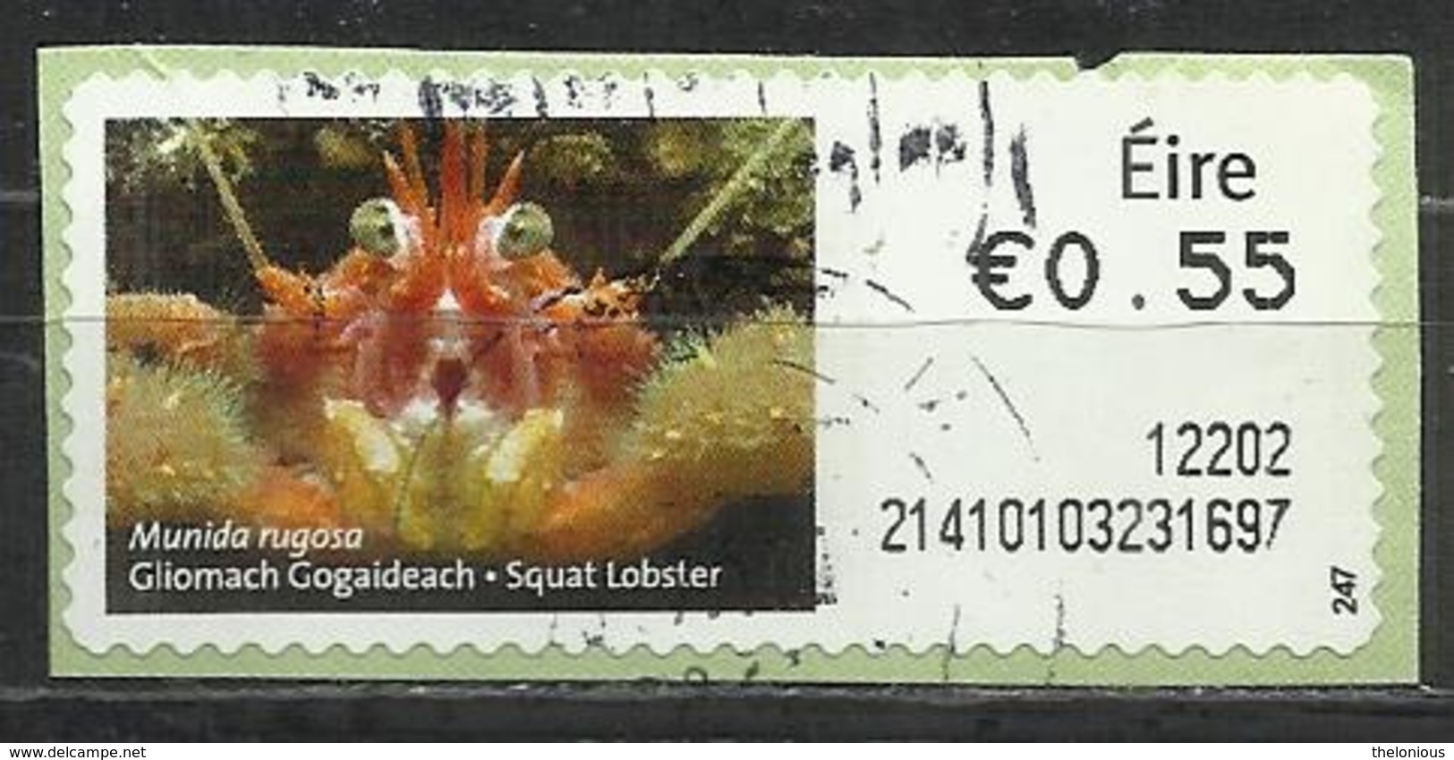 # Irlanda 2011 - Squat Lobster (Munida Rugosa)  Animali (Fauna) Su Frammento - Affrancature Meccaniche/Frama