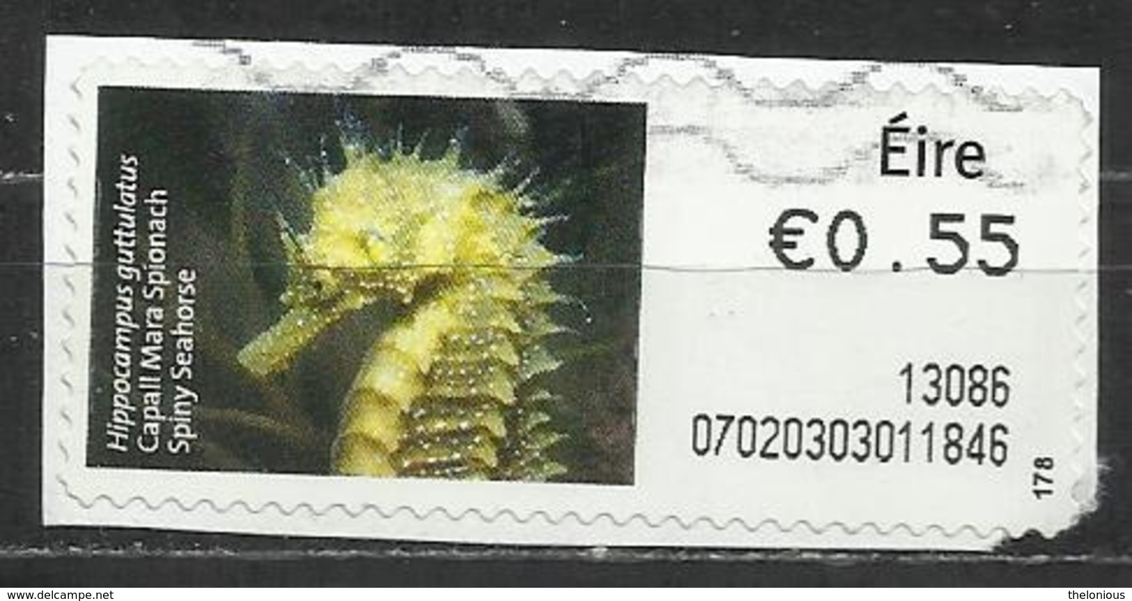 # Irlanda 2012 - Spiny Seahorse (Hippocampus Guttulatus) Animali - Su Frammento - Affrancature Meccaniche/Frama