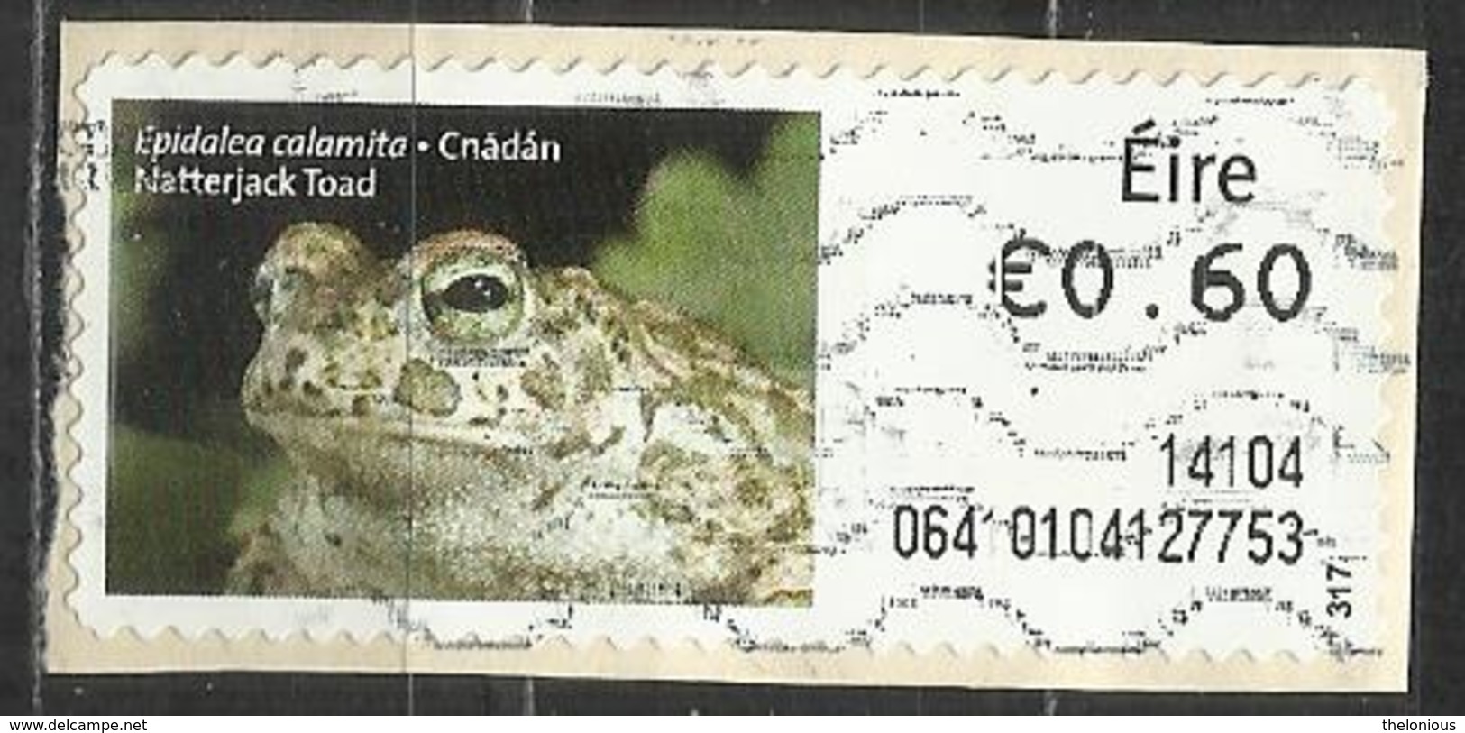 # Irlanda 2013 - Natterjack Toad (Bufo Calamita) Anfibi | Animali - Su Frammento - Vignettes D'affranchissement (Frama)