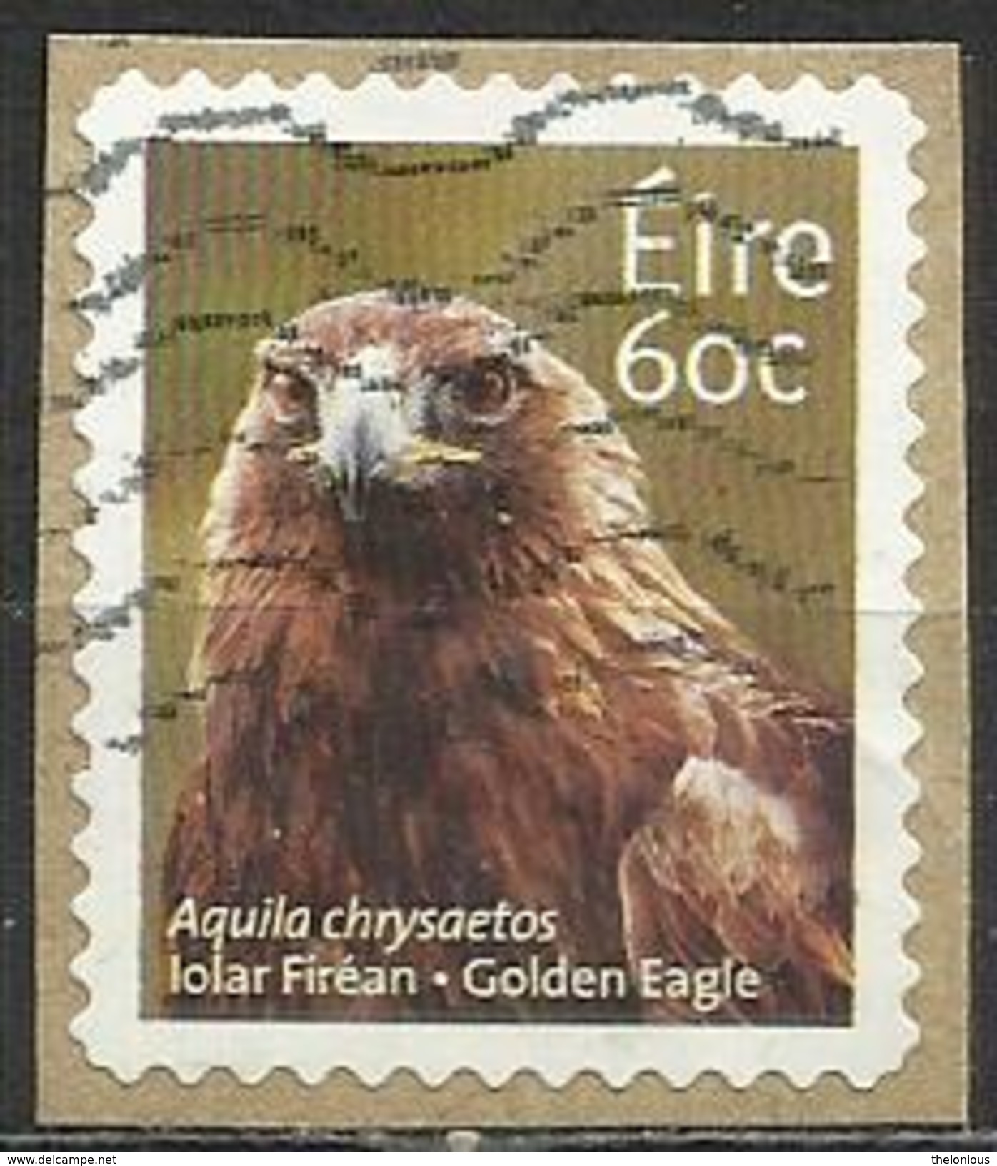 # Irlanda 2013 - Golden Eagle (Aquila Chrysaetos) - Animali - Su Frammento - Usati