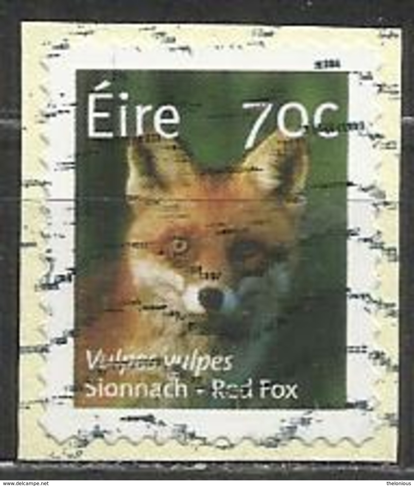 # Irlanda 2015: Red Fox (Vulpes Vulpes) - Volpi (su Frammento) - Usati