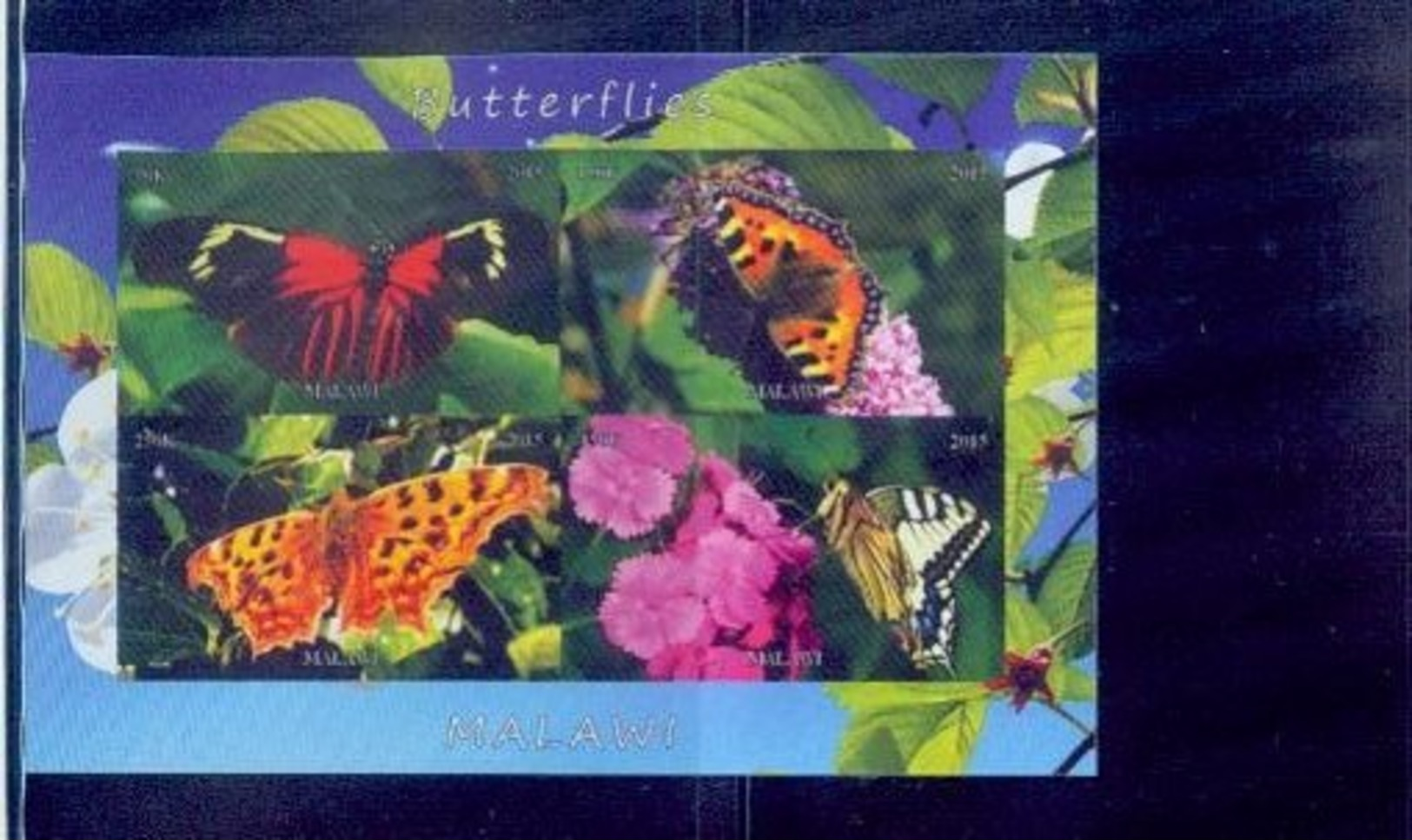 Congo / 2016 Rare Butterflies Series.. /mnh.good Condition - Butterflies